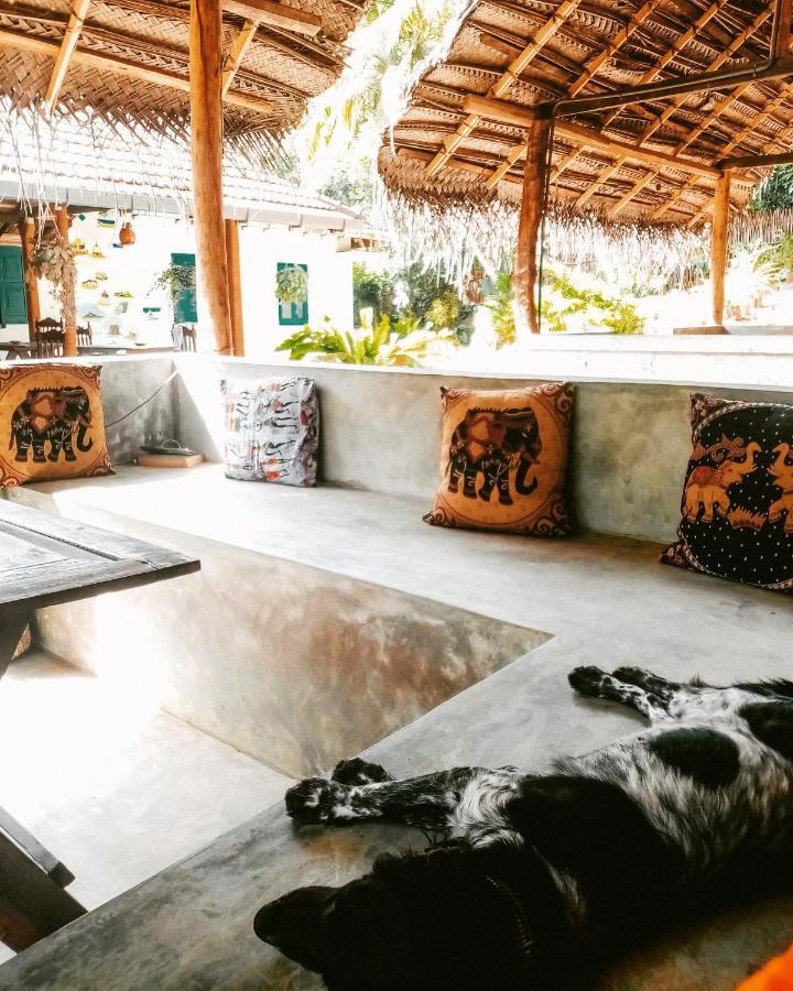 Lazy Monkey Sri Lanka Hostel Диквела Екстериор снимка