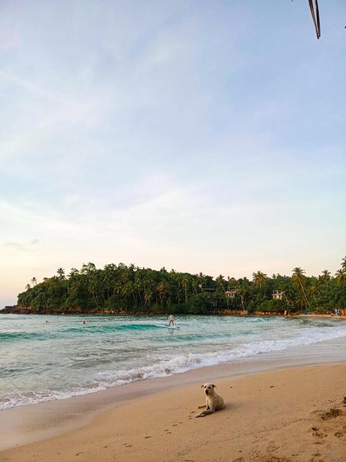 Lazy Monkey Sri Lanka Hostel Диквела Екстериор снимка