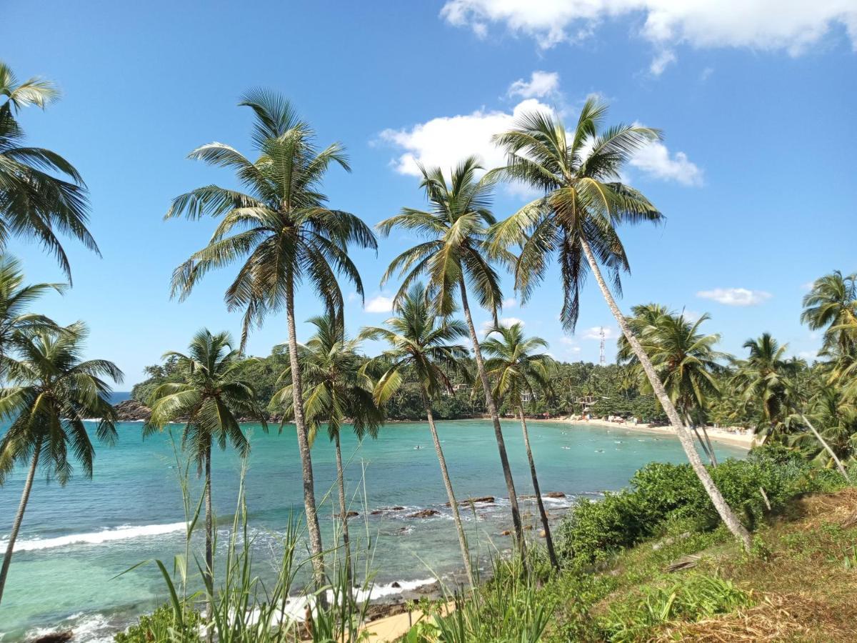 Lazy Monkey Sri Lanka Hostel Диквела Екстериор снимка