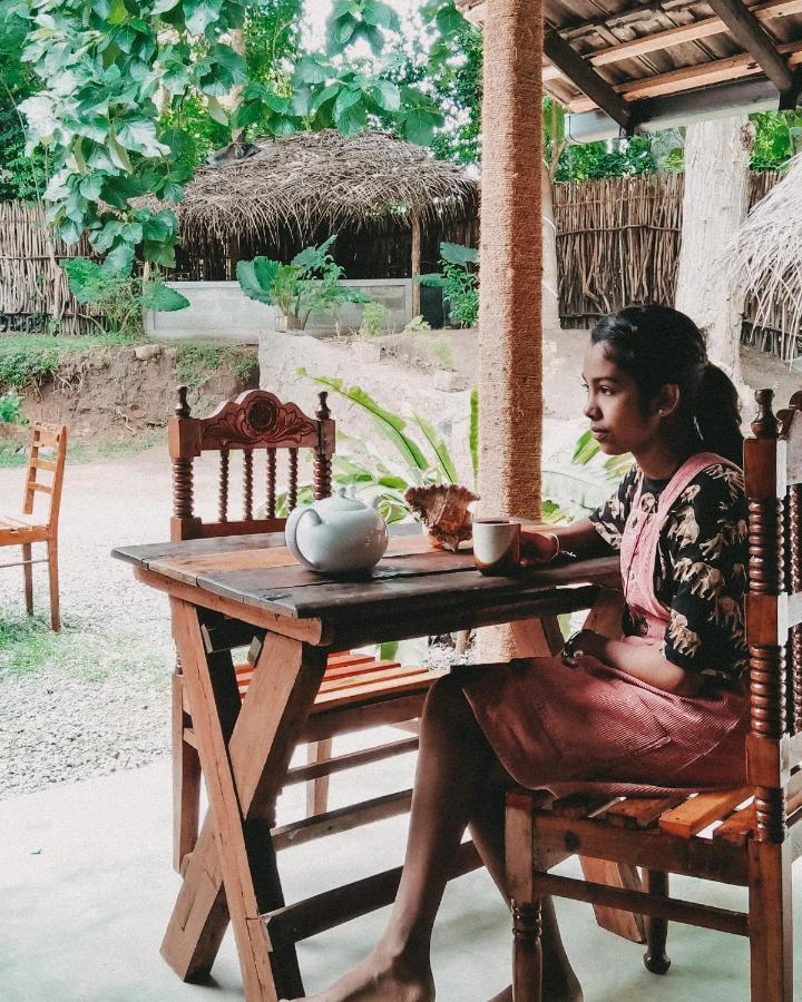 Lazy Monkey Sri Lanka Hostel Диквела Екстериор снимка