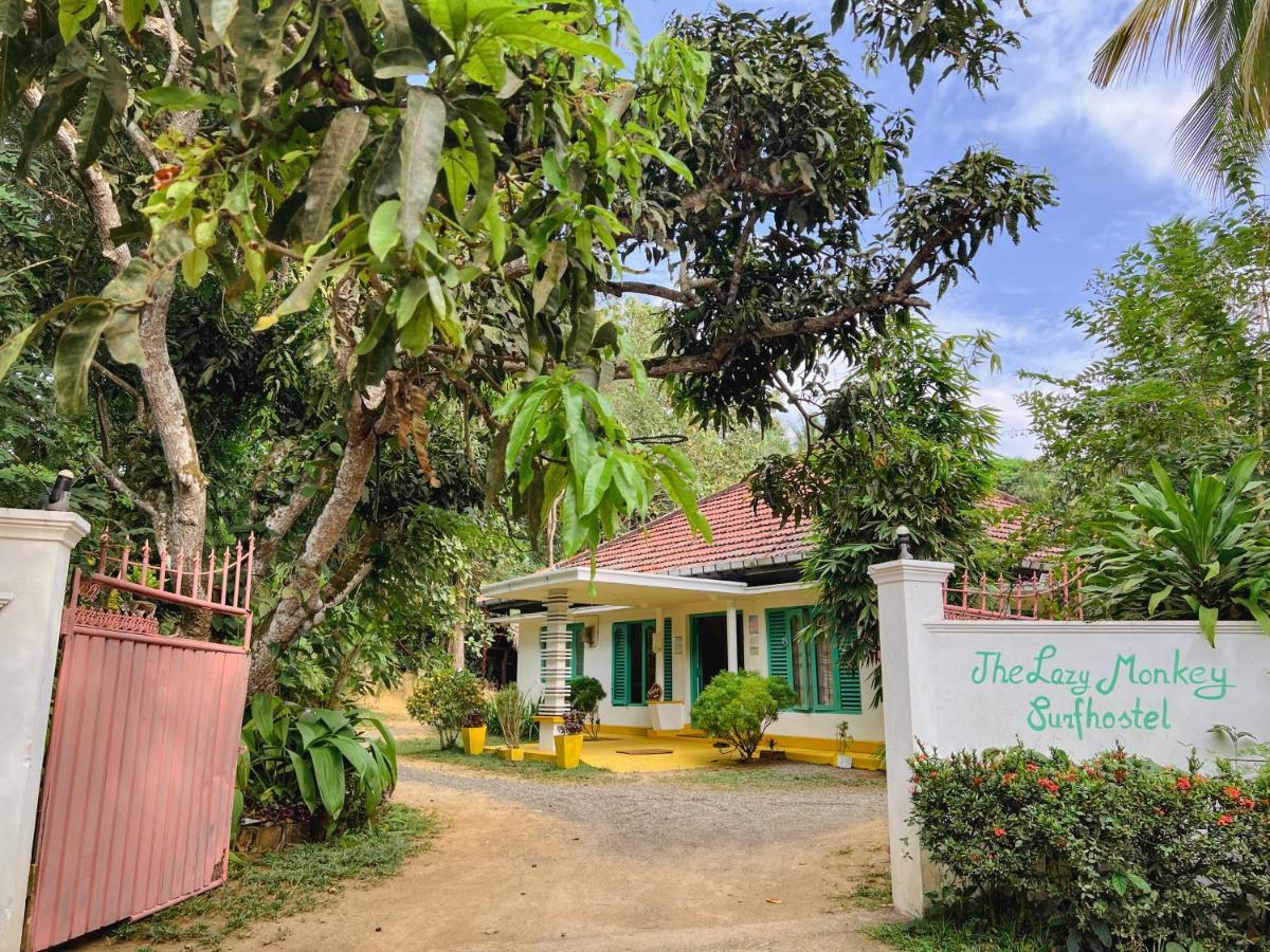 Lazy Monkey Sri Lanka Hostel Диквела Екстериор снимка