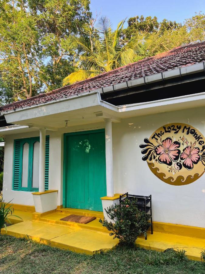 Lazy Monkey Sri Lanka Hostel Диквела Екстериор снимка