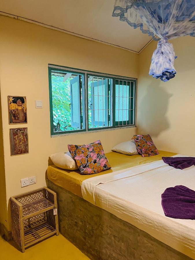 Lazy Monkey Sri Lanka Hostel Диквела Екстериор снимка